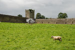 Sculpture at Kells, (Kells, Irland 2007)