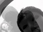 stil 3 © Ulli Gollesch stil 3