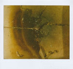 Patina #8