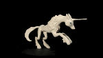 Wolf © Karin Csernohorski Wolf