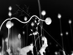 Aus der Serie Midnight Blue © Franz Sattler Aus der Serie Midnight Blue