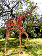 Giraffe