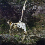 Blitz trifft die Kuh, 230 x 125 x 450 cm, Holz, Öl, 1985 © Josef Taucher Blitz trifft die Kuh, 230 x 125 x 450 cm, Holz, Öl, 1985