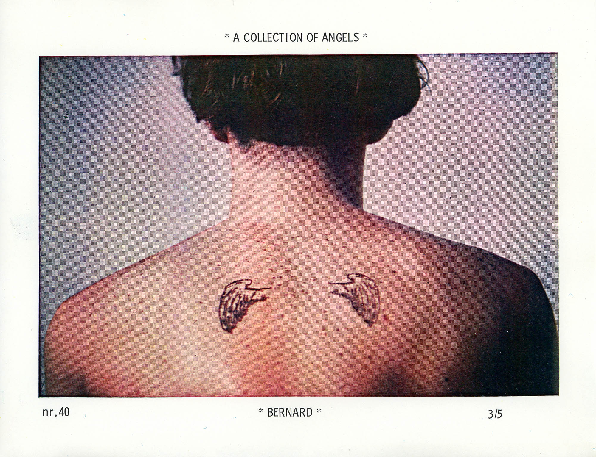 A collection of Angels, #40, Bernard, Xeroxprint auf Papier, 8 x 10 inch 