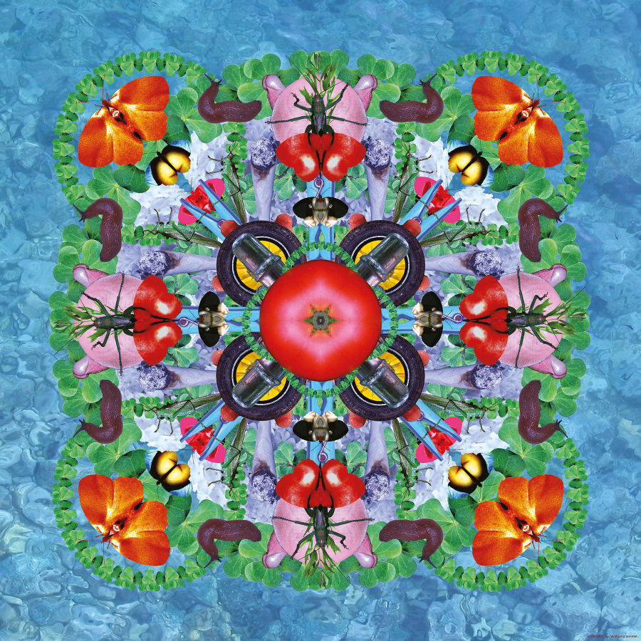 MANDALA