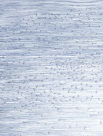 Swarming I-III, 2014, Triptychon, Buntstift auf Papier, 120 x 240 cm_detail