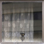 "Latent" © Azam Shadpour "Latent"