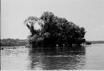 Donau 02, 1984 © Zita Oberwalder, Atelier-Auslandsstipendium 2020 - Belgrad