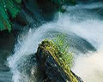 ERFA für Wasserwarte © Land Steiermark / A14