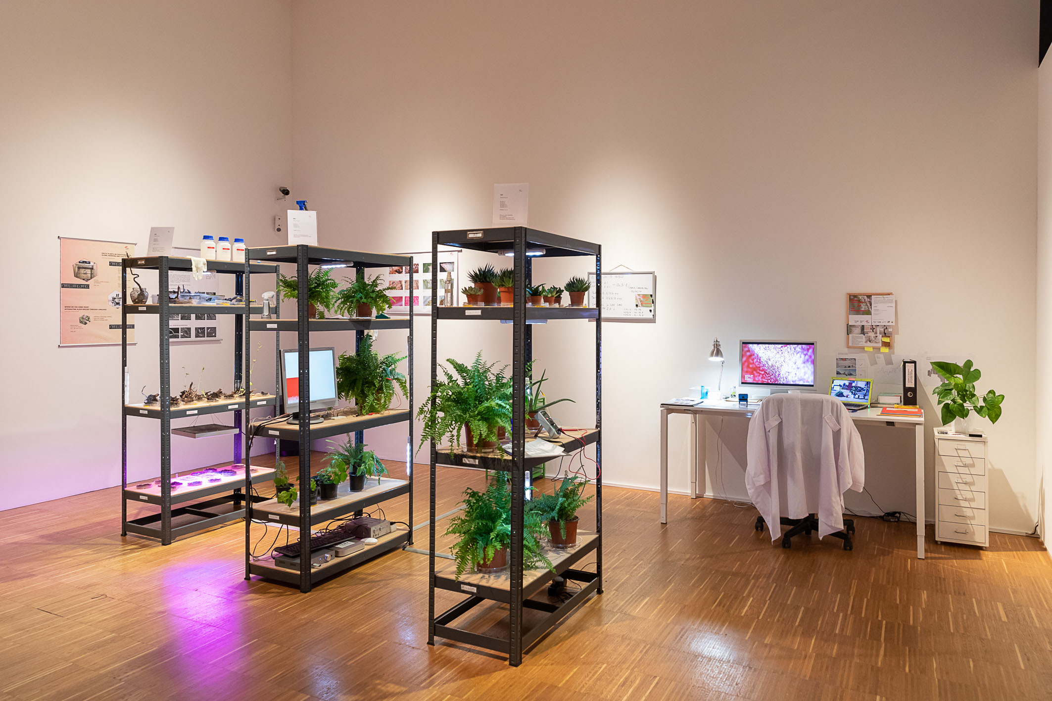 „Integrationszentrum für Migrierte Pflanzen“ (IZMP) Installation im Universalmuseum Joanneum, Graz - Dezember 2019/Jänner 2020